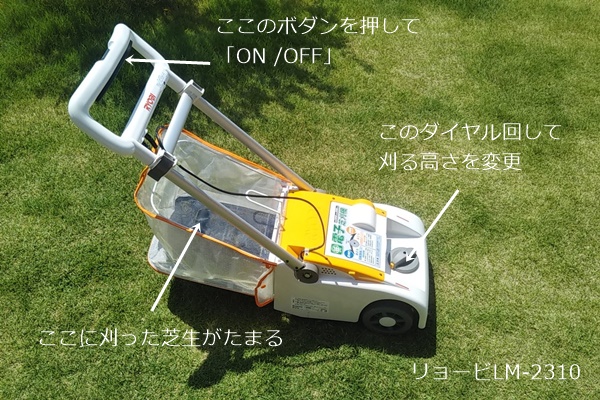 f:id:ietatemama:20200623134544j:plain