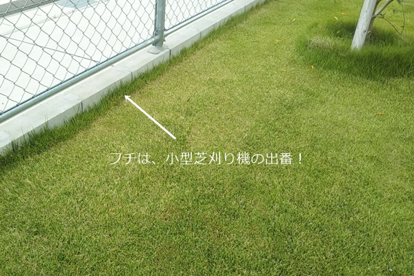 f:id:ietatemama:20200623134628j:plain
