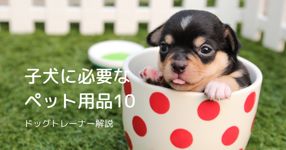 f:id:ietatemama:20201221140010p:plain
