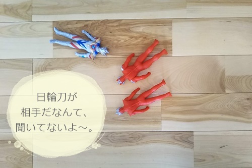 f:id:ietatemama:20210102143807j:plain