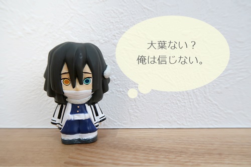 f:id:ietatemama:20210125131545j:plain