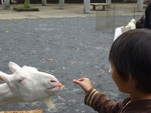 f:id:ieyagi:20101031102605j:image