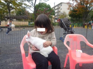 f:id:ieyagi:20101031103120j:image