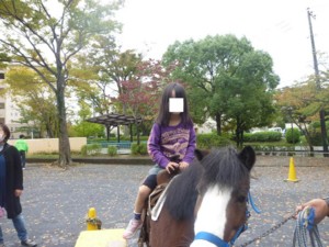 f:id:ieyagi:20101031104554j:image