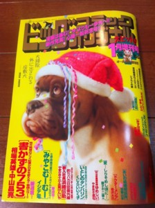 f:id:ieyagi:20121213193352j:image