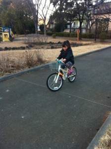 f:id:ieyagi:20130129095333j:image