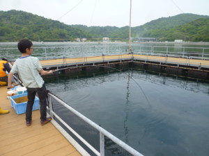 f:id:ieyagi:20140503114950j:image