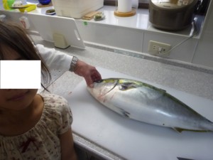 f:id:ieyagi:20140503164909j:image