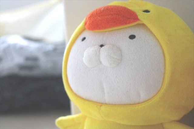 f:id:if_broken:20201227154716j:plain