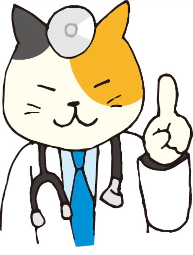 f:id:ifuwari:20240602201033j:image
