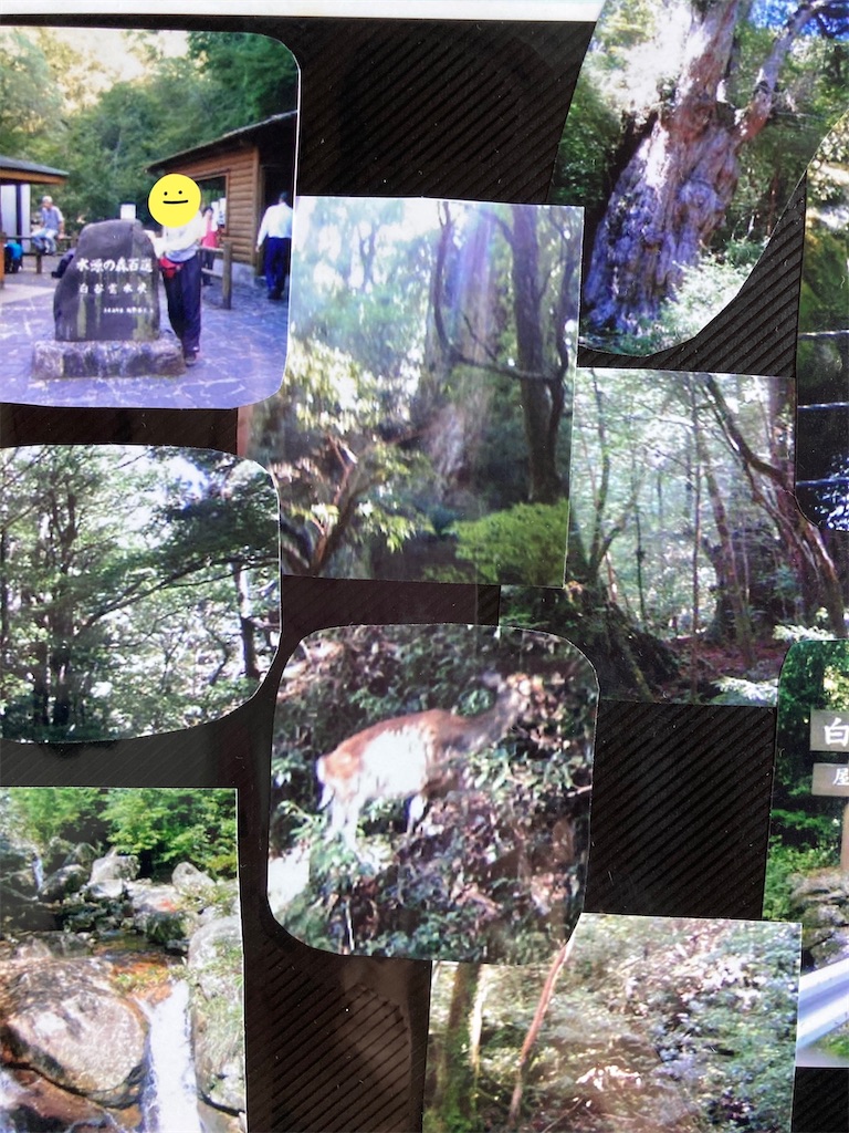 f:id:ifuwari:20240624143716j:image