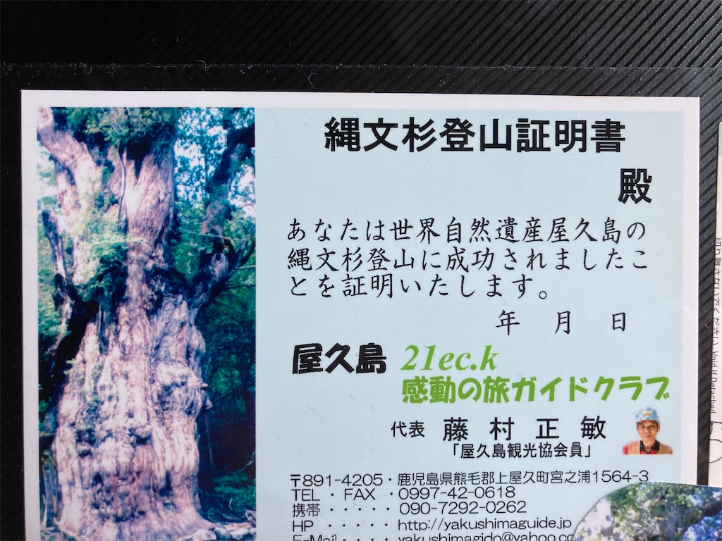 f:id:ifuwari:20240624143858j:image
