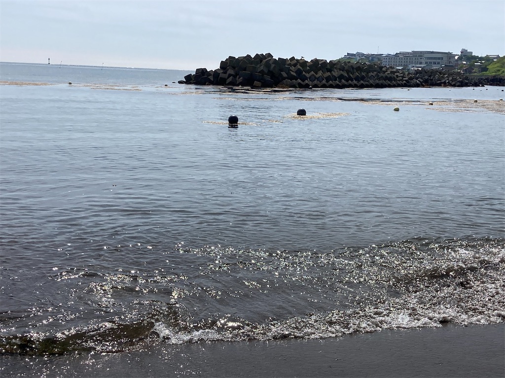 f:id:ifuwari:20240701132942j:image