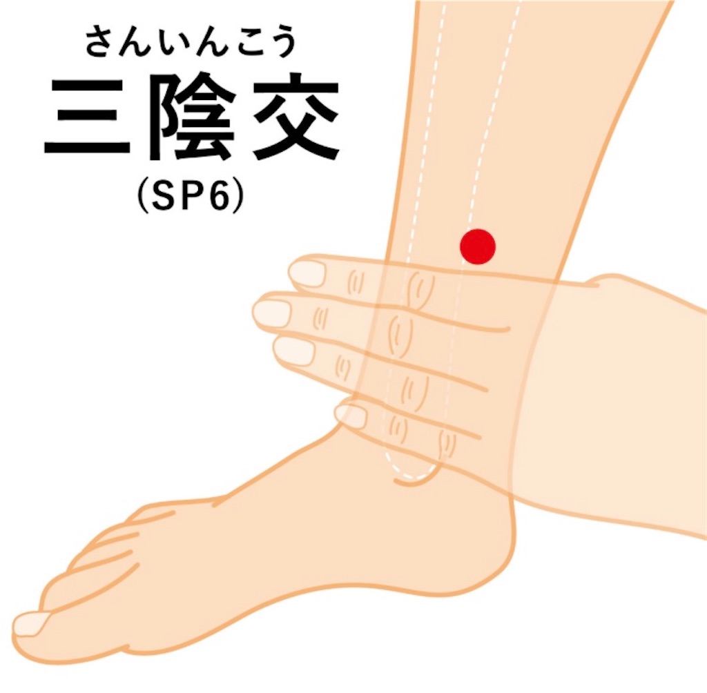 f:id:ifuwari:20250105201328j:image