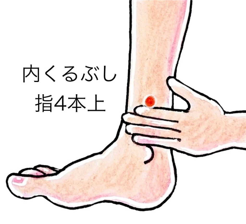 f:id:ifuwari:20250216171956j:image