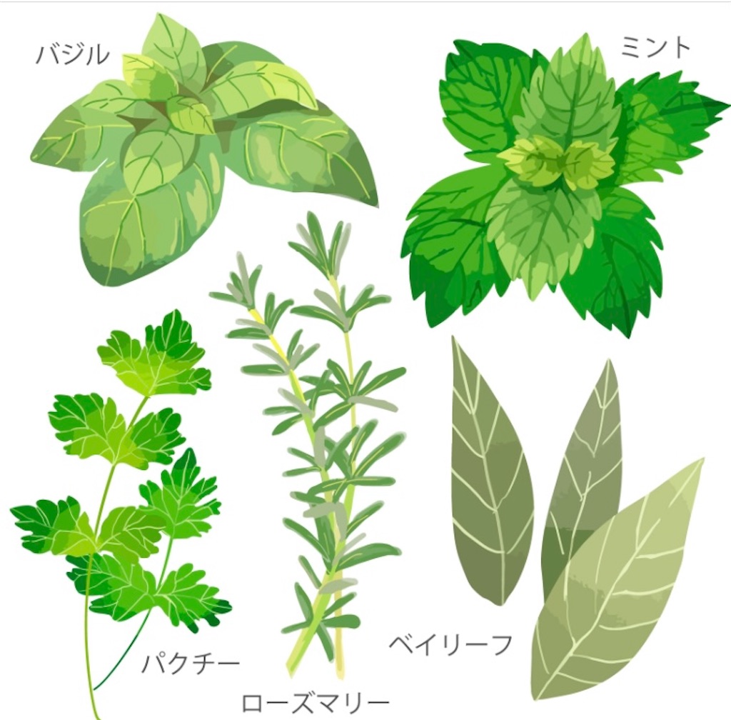 f:id:ifuwari:20250218133816j:image