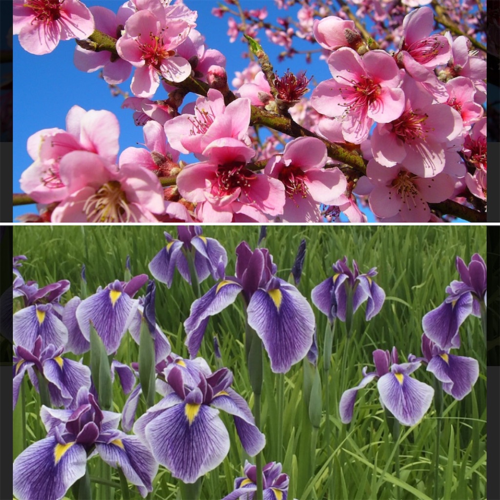 f:id:ifuwari:20250303113509j:image