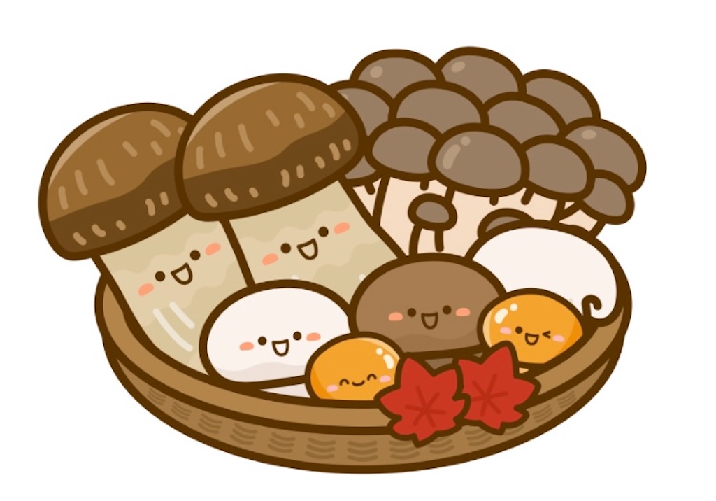 f:id:ifuwari:20250330184942j:image