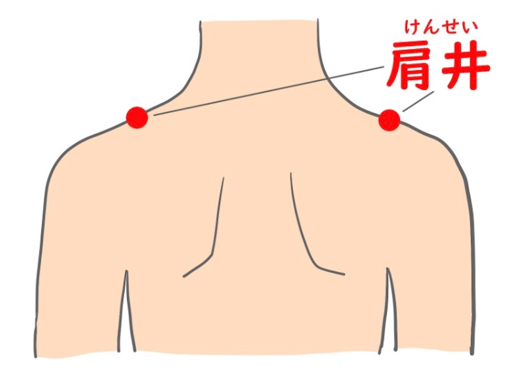 f:id:ifuwari:20250427173539j:image