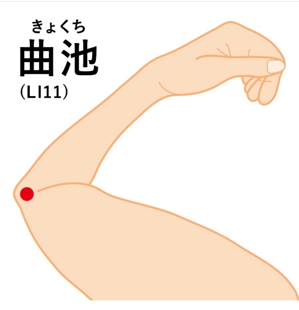 f:id:ifuwari:20250427174138j:image