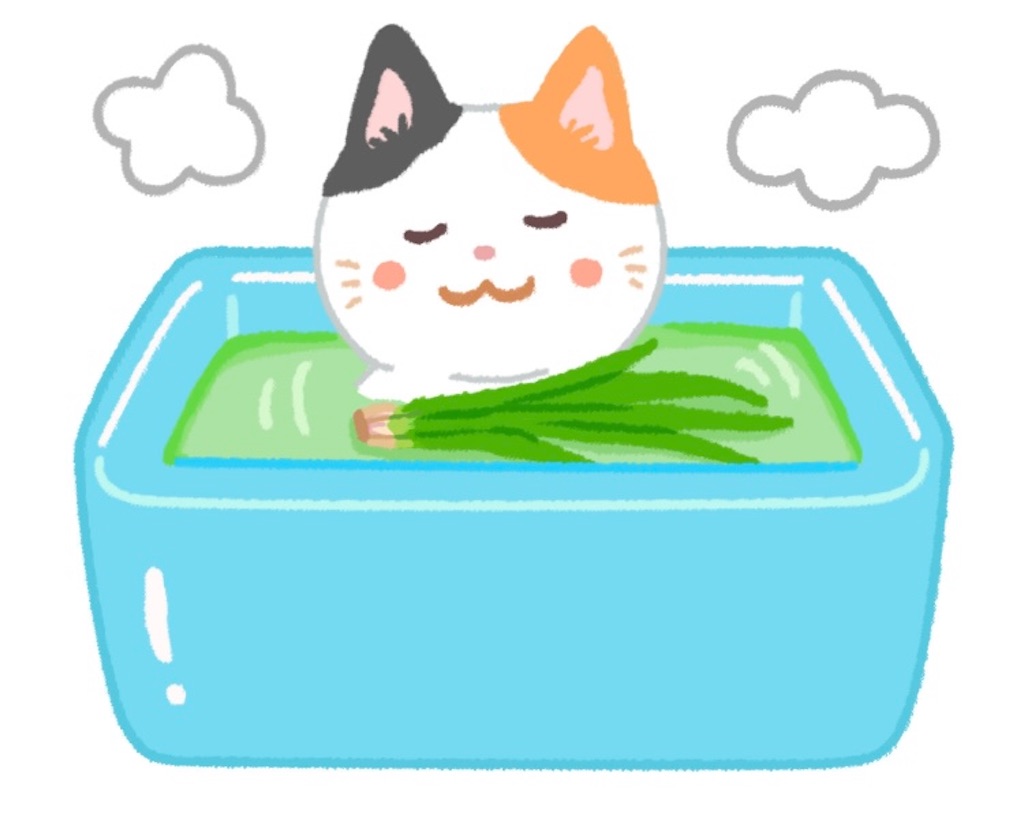 f:id:ifuwari:20250504162154j:image