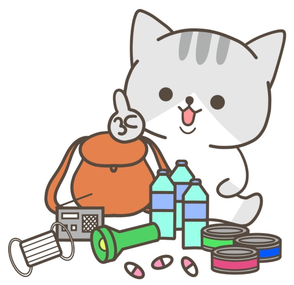f:id:ifuwari:20250603133218j:image