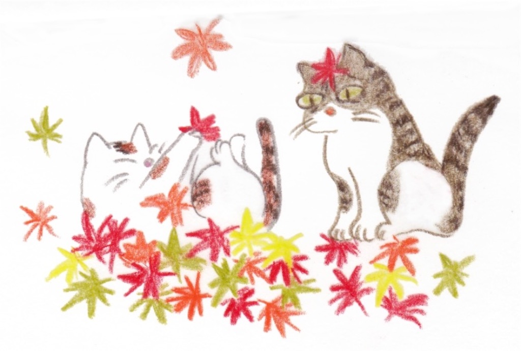 f:id:ifuwari:20251019163426j:image f:id:ifuwari:20251019163426j:image