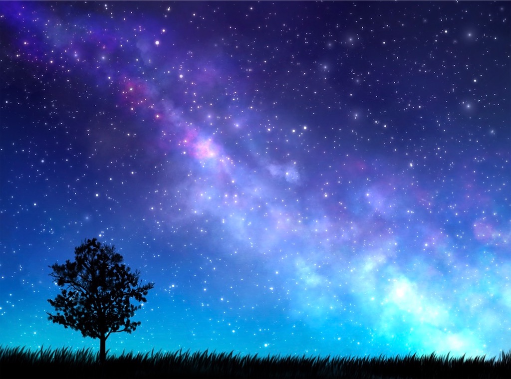 f:id:ifuwari:20260413174053j:image f:id:ifuwari:20260413174053j:image