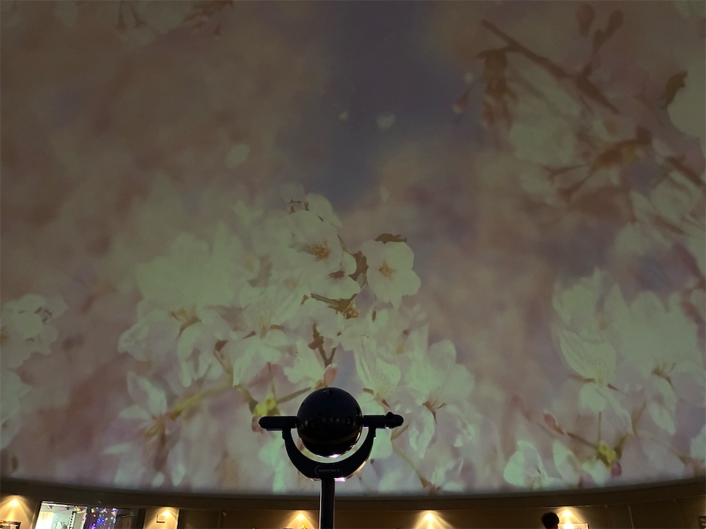 f:id:ifuwari:20260503170037j:image f:id:ifuwari:20260503170037j:image