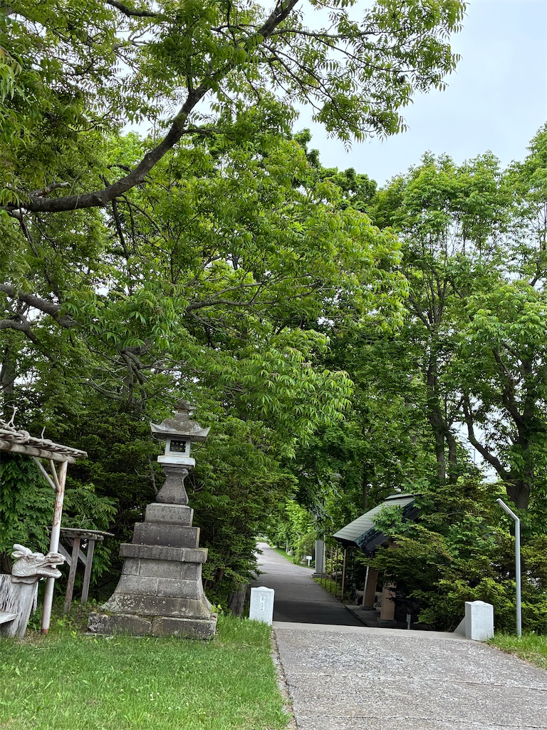 f:id:ifuwari:20260621192526j:image f:id:ifuwari:20260621192526j:image