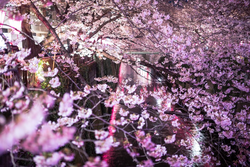 f:id:igadget:20190407211015j:plain f:id:igadget:20190407211015j:plain