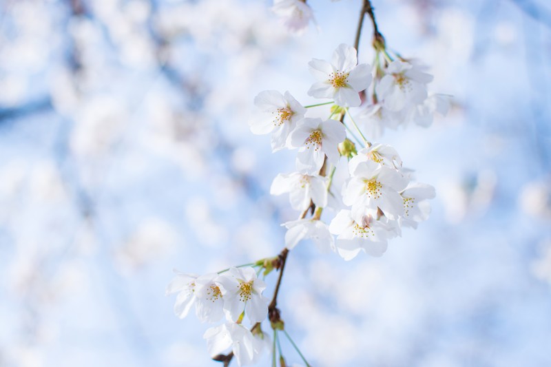 f:id:igadget:20190407211109j:plain f:id:igadget:20190407211109j:plain