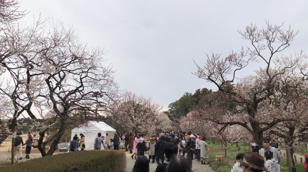 f:id:iganao:20190414180716j:plain