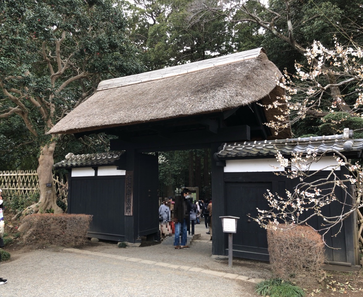 f:id:iganao:20190414182721j:plain