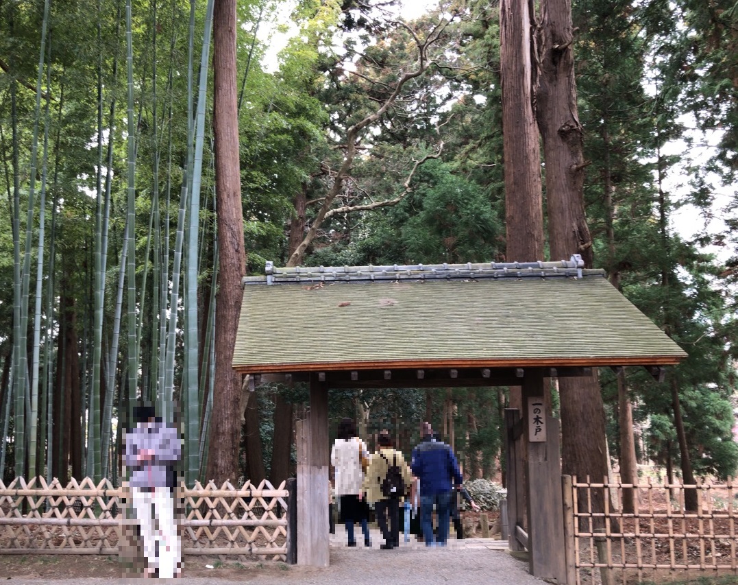 f:id:iganao:20190414182942j:plain