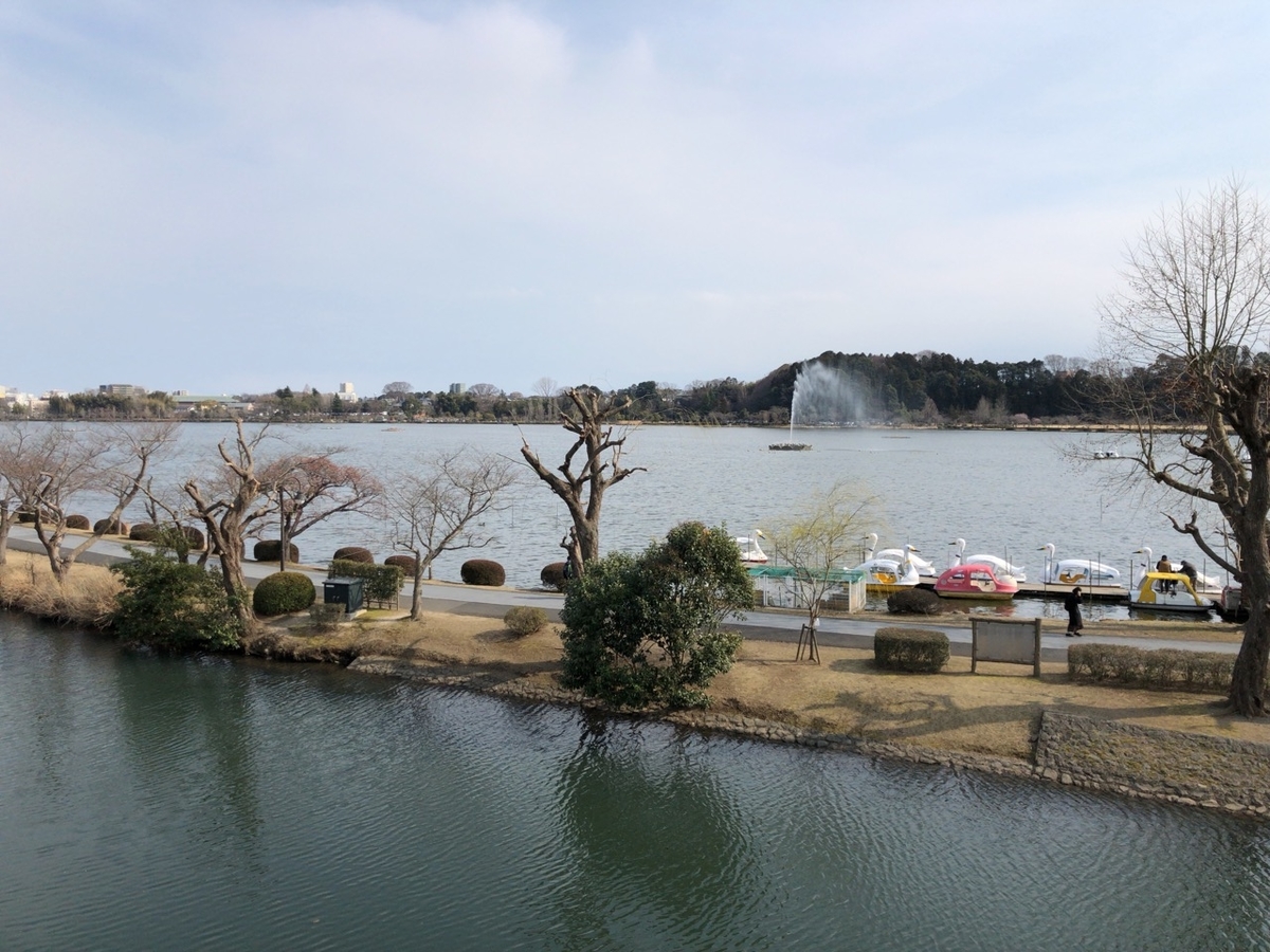 f:id:iganao:20190414183514j:plain