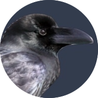 f:id:iganozonami:20180203005305p:plain f:id:iganozonami:20180203005305p:plain