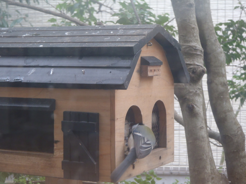 f:id:igarashi-shika:20130122150344j:image