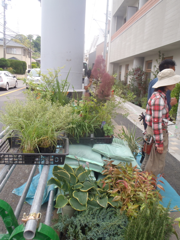 f:id:igarashi-shika:20130527151914j:image:w360