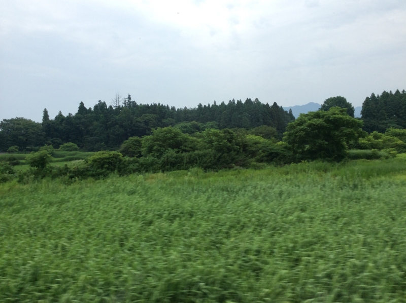 f:id:igarashi-shika:20140713152603j:image:w360