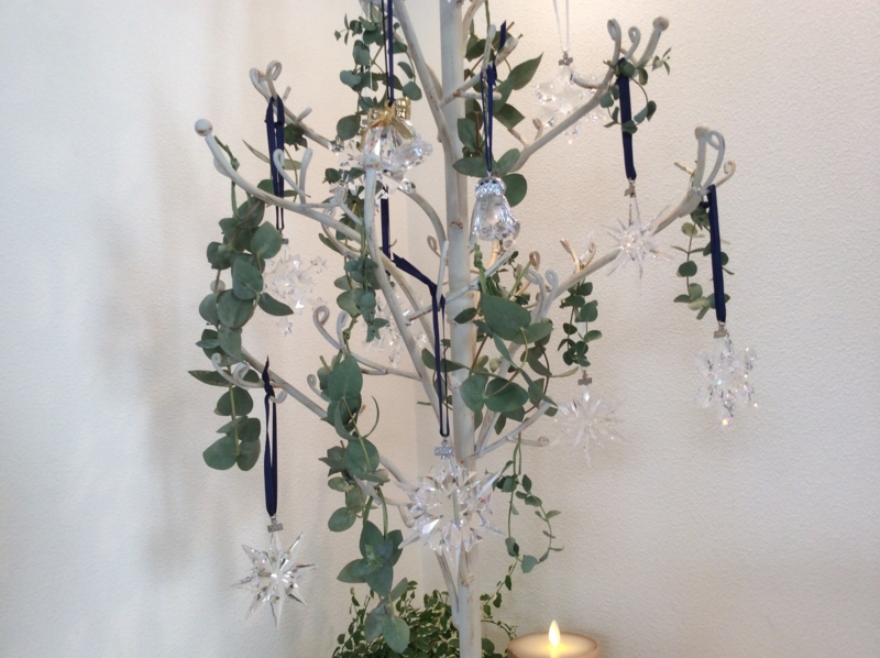 f:id:igarashi-shika:20141206165004j:image:w360