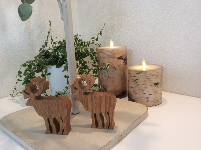 f:id:igarashi-shika:20141206165034j:image:w360