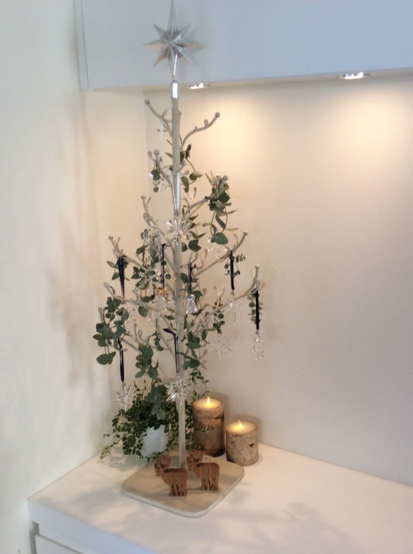 f:id:igarashi-shika:20141206165101j:image:w360