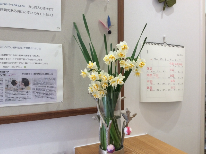 f:id:igarashi-shika:20141229092401j:image:w360