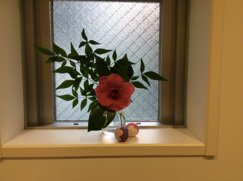 f:id:igarashi-shika:20141229092425j:image:w360