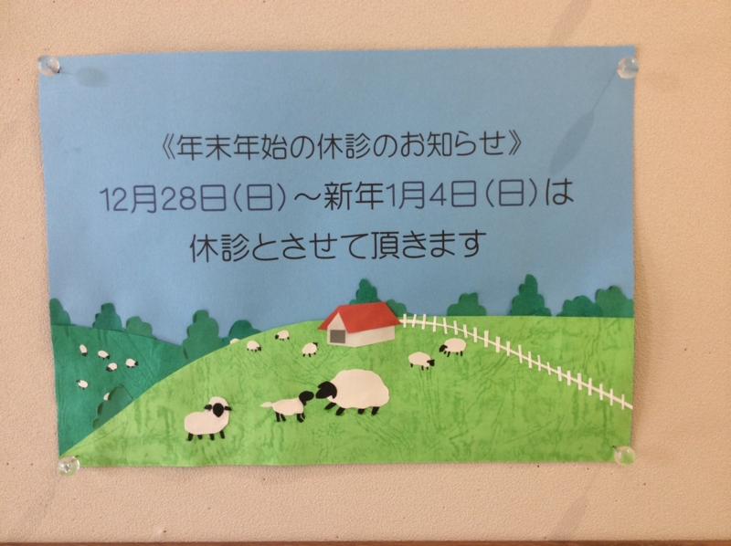 f:id:igarashi-shika:20141229092715j:image:w360