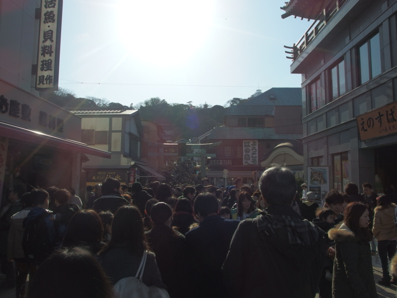 f:id:igarashi-shika:20150103131429j:image:w360