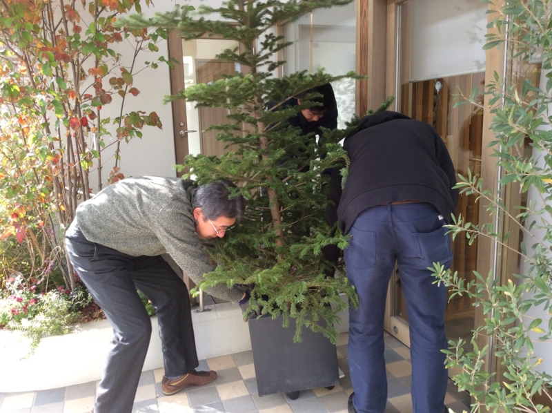 f:id:igarashi-shika:20151229121820j:image:w360