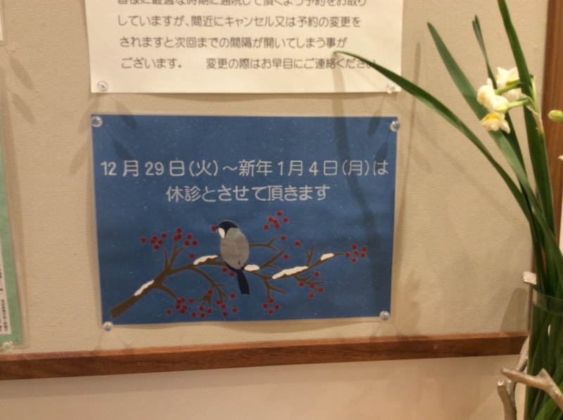 f:id:igarashi-shika:20151229122115j:image:w360