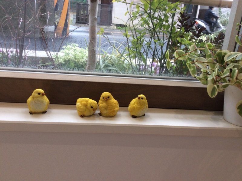f:id:igarashi-shika:20160308172017j:image:w360